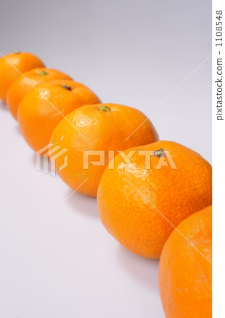 mandarin orange, strobe photography, in a row 1108548