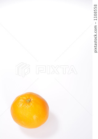 mandarin orange, strobe photography, one 1108558