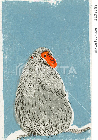 日本獼猴 猴子 猴 1108588