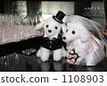 Wedding dog 1108903