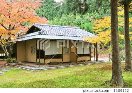 Shoson Autumn 1109152