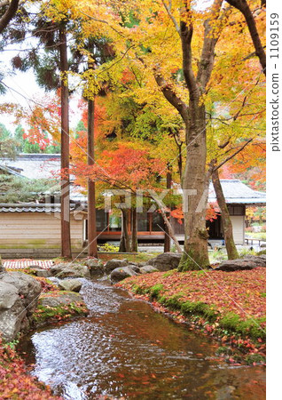 Shoson Autumn 1109159