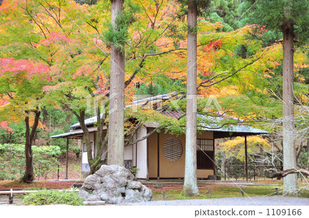 Shoson Autumn 1109166