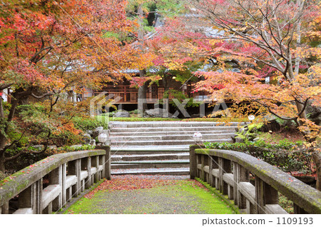 Shoson Autumn 1109193
