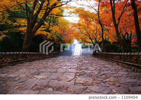 Autumn leaves of Kyoto Ryoanji Autumn leaves of Kyoto Ryoanji 1109404