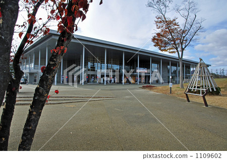 Walking Yonezawa · Foreign Dynasty Walking Yonezawa · Foreign Dynasty 1109602