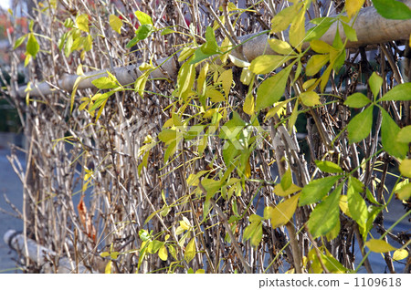 Walking for Yonezawa walking · Fence of a dog Walking for Yonezawa walking · Fence of a dog 1109618
