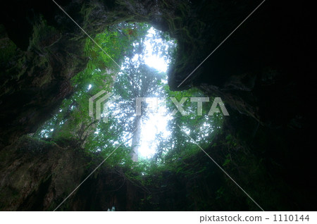 yakushima, heart, hearts 1110144