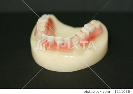 denture 1111086