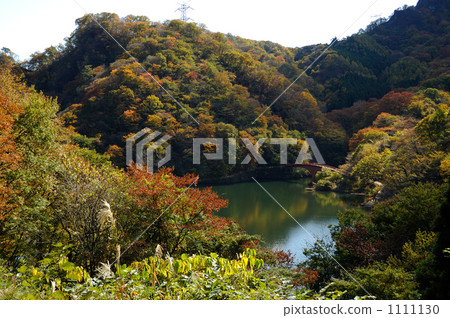 Usui lake in autumn Usui lake in autumn 1111130