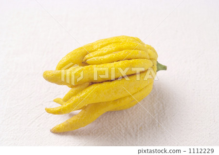 佛壇 佛壇 1112229