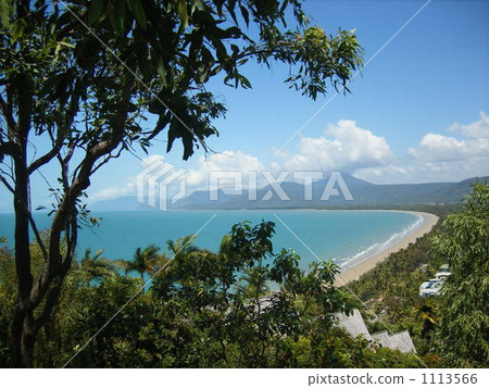 海岸 海濱 樹木 1113566