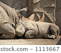 afternoon nap  1113667