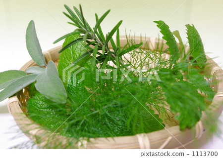 Kitchen Herb Kitchen Herb 1113700