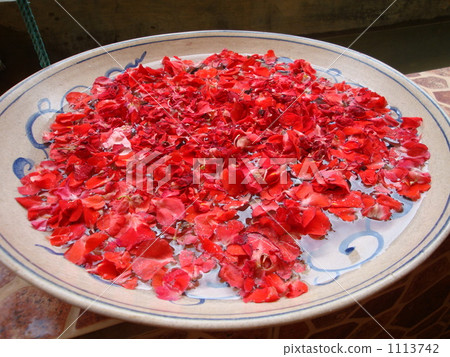Petal floating in the water of a vessel Petal floating in the water of a vessel 1113742