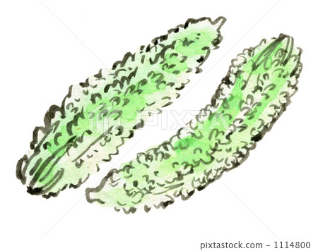 Soy-painted goya 1114800