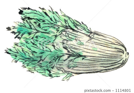 Mizuna of ink painting 1114801