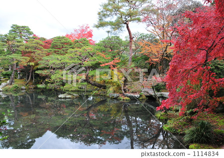 Shirasa Village in Kyoto Autumn Shirasa Village in Kyoto Autumn 1114834