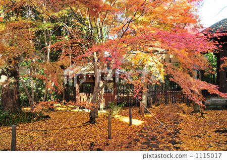 Kyoto Rensha Temple 1115017