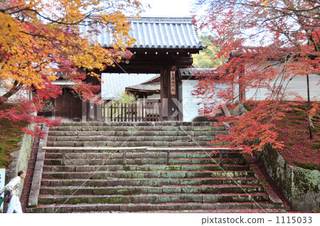 Kyoto Mamakuin 1115033