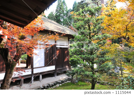 Kyoto Mamakuin 1115044