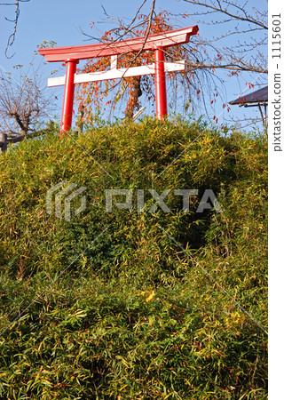 Walking Yonezawa · Grain Inarin Walking Yonezawa · Grain Inarin 1115601