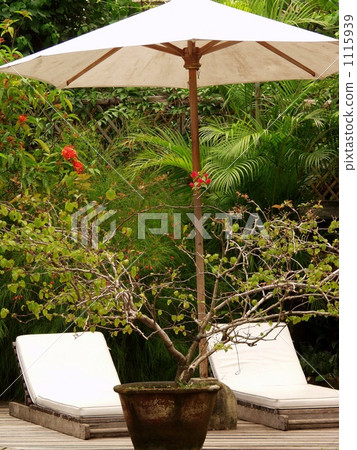 Poolside of Tropical Resort 1115939