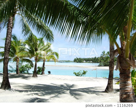 波拉波拉島沙灘 1116269