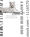 White Tiger   1116570