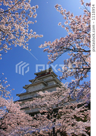 敦賀城堡在春天 1118954