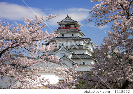 敦賀城堡在春天 1118962