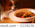 與狗咖啡館的膳食 1119236