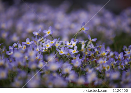 Hinasou Hinasou 1120400