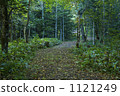 The way through the forest 1121249