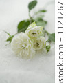 Rose flowers on white lace 1121267