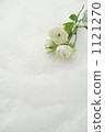 Rose flowers on white lace 1121270