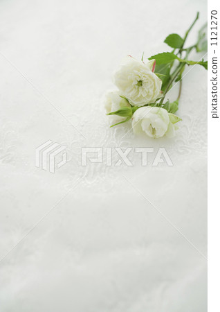 Rose flowers on white lace Rose flowers on white lace 1121270