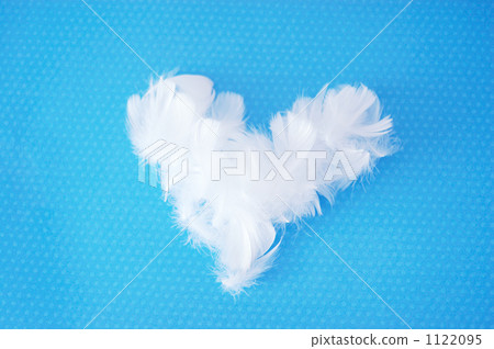 feather, wing, wings 1122095