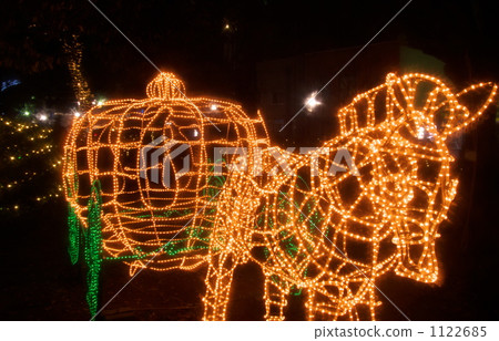 聖誕節燈火 廣島市 廣島縣 1122685