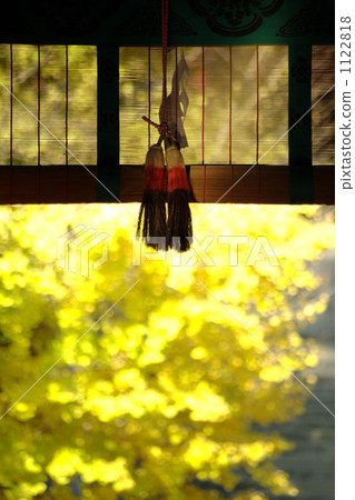 銀杏神社 1122818