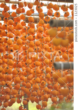 Making dried persimmons 1123025