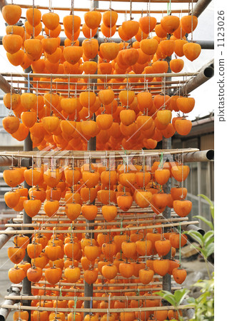 Making dried persimmons 1123026