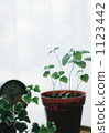 假期的時刻 1123442