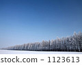Wind snow forest 1123613