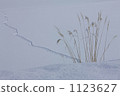 Footsteps 1123627