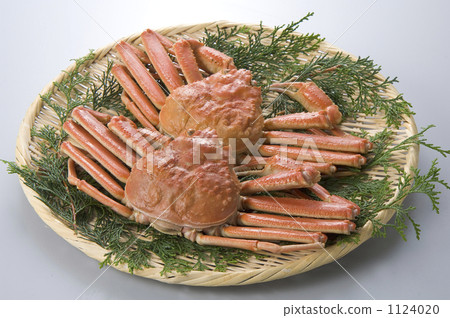 螃蟹 蟹 灰色背景 1124020