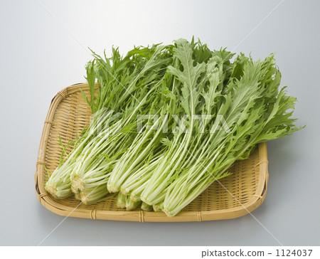 mizuna, vegetables, vegetable 1124037