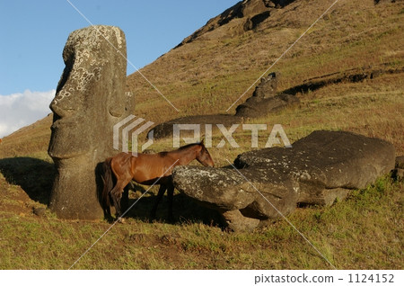 Moai 1124152