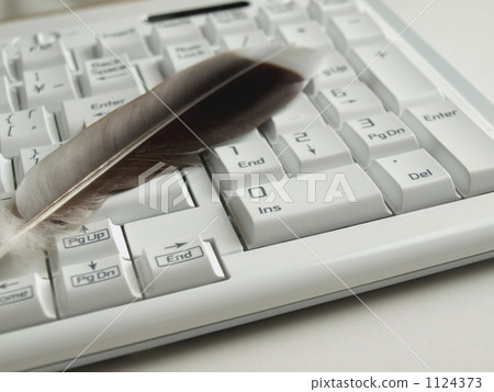 computer, feather, wing 1124373