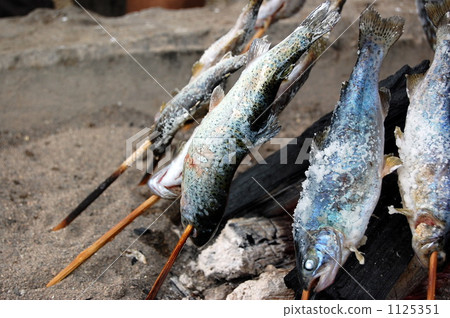 trout, rainbow trout, grilled or broiled with salt 1125351